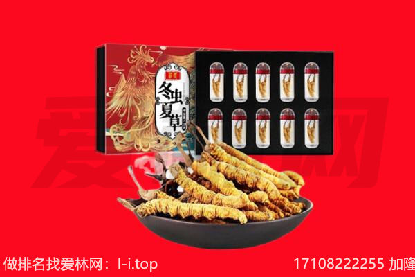 那曲市聂荣县回收虫草.jpg